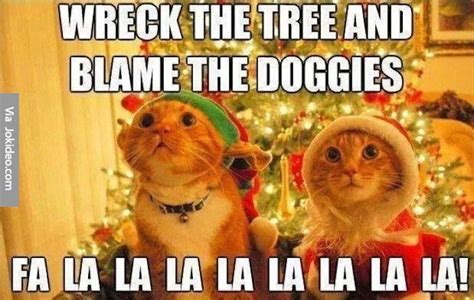 funny animal christmas memes